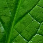 15xxxxx18 hhhgerkh9s