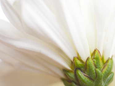 抖音老熟女情趣 抖音老熟女情趣